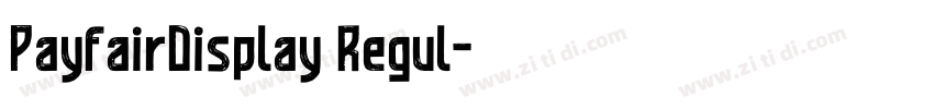 PayfairDisplay Regul字体转换